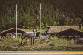 Saltdal Turistsenter